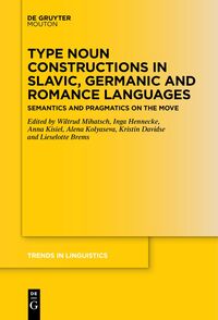 Type Noun Constructions in Slavic, Germanic and Romance Languages