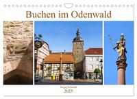 Buchen im Odenwald (Wandkalender 2025 DIN A4 quer), CALVENDO Monatskalender