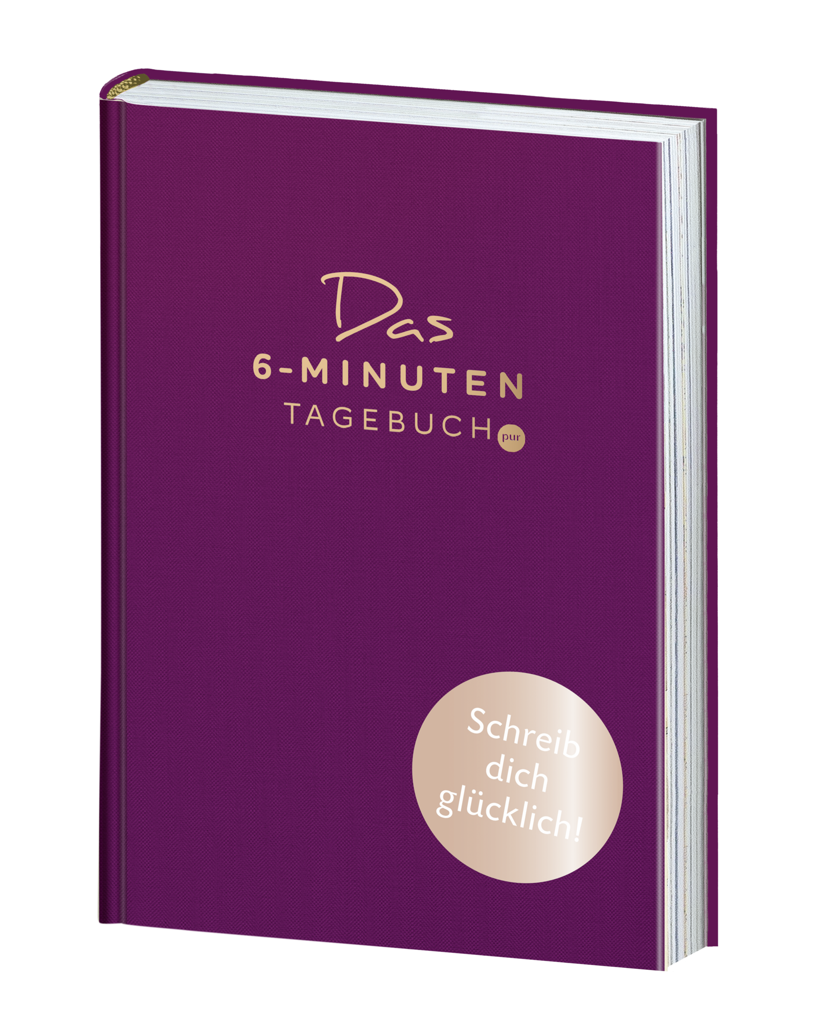 Das 6-Minuten-Tagebuch pur (rubin)