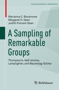 A Sampling of Remarkable Groups