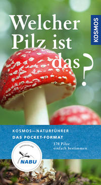 Welcher Pilz ist das?