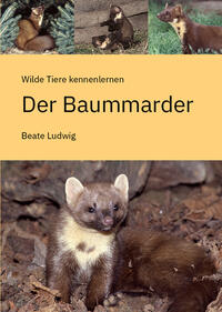 Der Baummarder