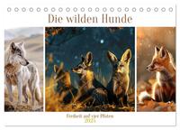 Die wilden Hunde (Tischkalender 2025 DIN A5 quer), CALVENDO Monatskalender