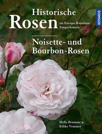 Historische Rosen im Europa Rosarium Sangerhausen: Noisette- und Bourbon-Rosen