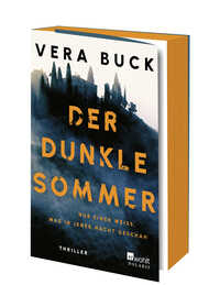 Der dunkle Sommer