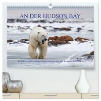 AN DER HUDSON BAY (hochwertiger Premium Wandkalender 2025 DIN A2 quer), Kunstdruck in Hochglanz