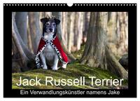 Jack Russell Terrier.....Ein Verwandlungskünstler namens Jake (Wandkalender 2025 DIN A3 quer), CALVENDO Monatskalender