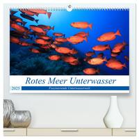 Rotes Meer Unterwasser (hochwertiger Premium Wandkalender 2025 DIN A2 quer), Kunstdruck in Hochglanz