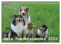 Mein Hundekalender 2025 (Tischkalender 2025 DIN A5 quer), CALVENDO Monatskalender