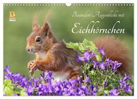 Besondere Augenblicke mit Eichhörnchen (Wandkalender 2025 DIN A3 quer), CALVENDO Monatskalender