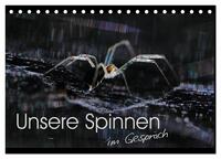 Unsere Spinnen - im Gespräch (Tischkalender 2025 DIN A5 quer), CALVENDO Monatskalender