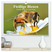 Fleißige Bienen. Von der Blüte bis zum Honig (hochwertiger Premium Wandkalender 2025 DIN A2 quer), Kunstdruck in Hochglanz