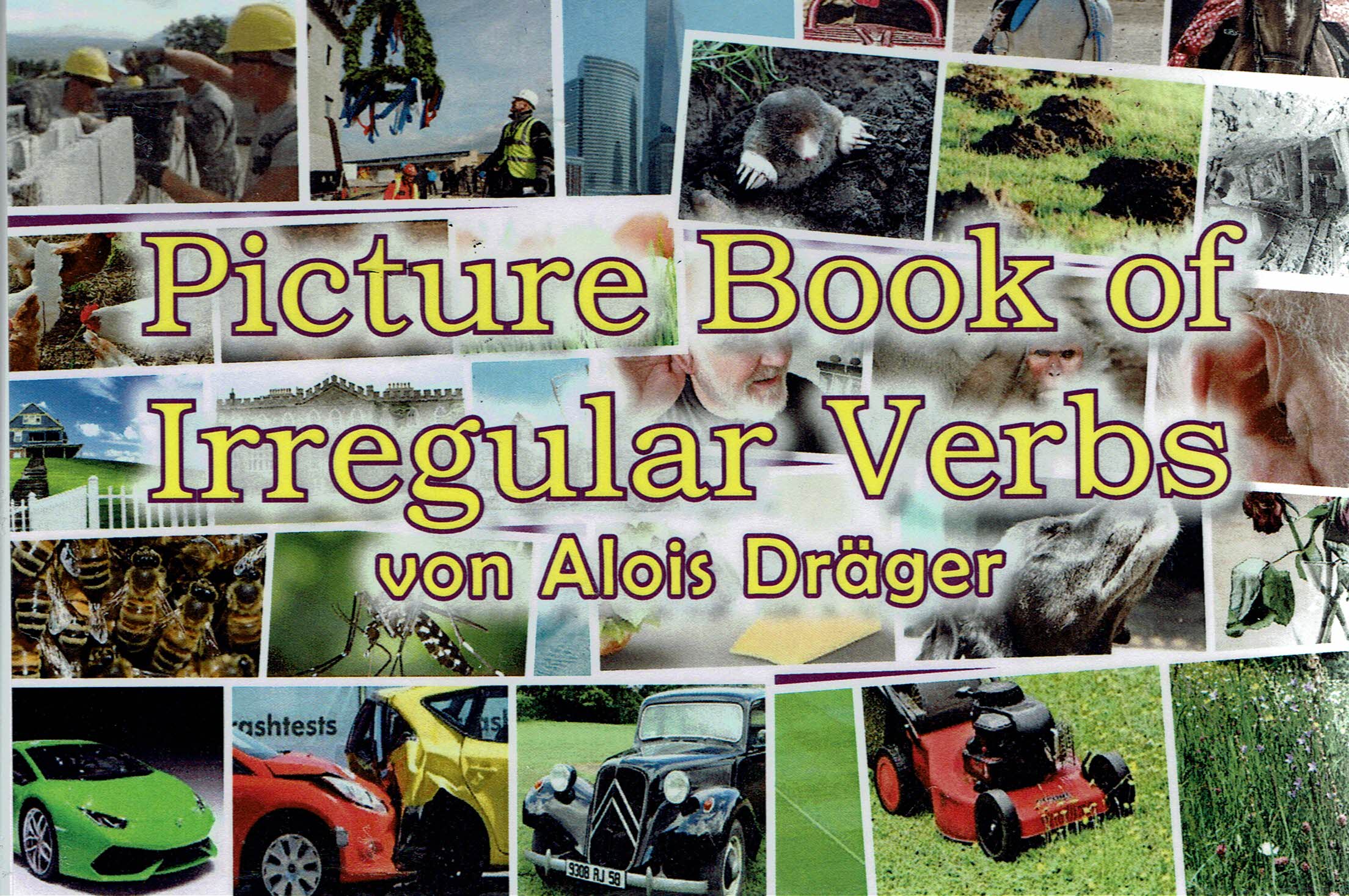 Picture Book of Irregular Verbs