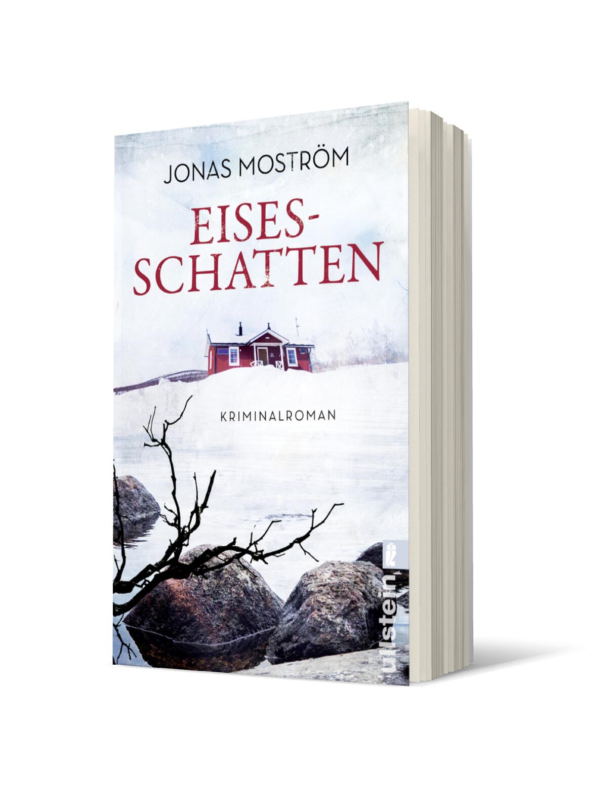 Eisesschatten (Ein Nathalie-Svensson-Krimi 5)