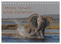 Afrikas Tierwelt - Wilde Elefanten (Tischkalender 2025 DIN A5 quer), CALVENDO Monatskalender