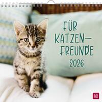 Wandkalender 2026: Für Katzenfreunde