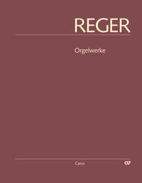 Reger-Werkausgabe, Bd. II/2: Lieder II (1899–1901)