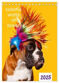 colorful world of boxer 2025 (Tischkalender 2025 DIN A5 hoch), CALVENDO Monatskalender