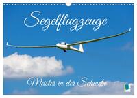 Meister in der Schwebe: Segelflugzeuge (Wandkalender 2025 DIN A3 quer), CALVENDO Monatskalender