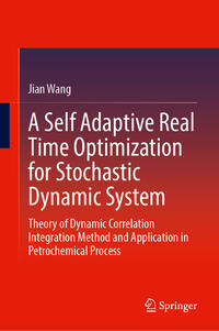 A Self Adaptive Real Time Optimization for Stochastic Dynamic System