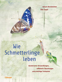 Wie Schmetterlinge leben