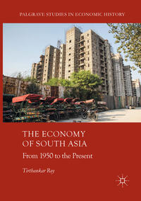 The Economy of South Asia