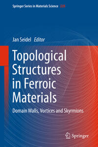 Topological Structures in Ferroic Materials