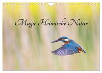 Magie Heimische Natur (Wandkalender 2025 DIN A4 quer), CALVENDO Monatskalender