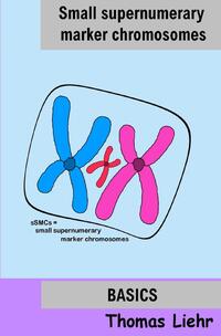 Small supernumerary marker chromosomes