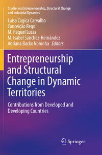 Entrepreneurship and Structural Change in Dynamic Territories