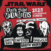 Pyramid – Star Wars Villains 2025 Broschürenkalender, 30x30cm, Kalender für Fans des Star Wars Universums, Monatskalender mit den galaktischen Schurken, nachhaltig nur mit Papierumschlag