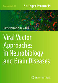 Viral Vector Approaches in Neurobiology and Brain Diseases