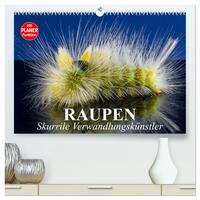 Raupen. Skurrile Verwandlungskünstler (hochwertiger Premium Wandkalender 2025 DIN A2 quer), Kunstdruck in Hochglanz