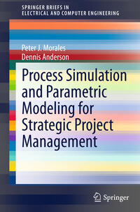 Process Simulation and Parametric Modeling for Strategic Project Management