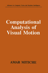 Computational Analysis of Visual Motion