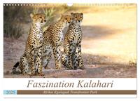 Faszination Kalahari (Wandkalender 2025 DIN A3 quer), CALVENDO Monatskalender