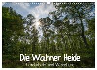 Die Wahner Heide - Landschaft und Weidetiere (Wandkalender 2025 DIN A3 quer), CALVENDO Monatskalender