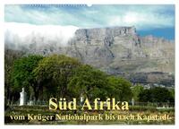 Süd Afrika - vom Krüger Nationalpark bis nach Kapstadt (Wandkalender 2025 DIN A2 quer), CALVENDO Monatskalender