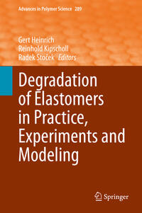 Degradation of Elastomers in Practice, Experiments and Modeling