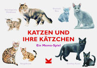 Katzen und ihre Kätzchen