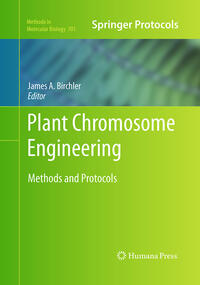 Plant Chromosome Engineering