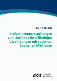 Stoßwellenuntersuchungen zum Zerfall stickstoffhaltiger Verbindungen mit spektroskopischen Methoden