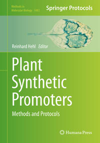 Plant Synthetic Promoters