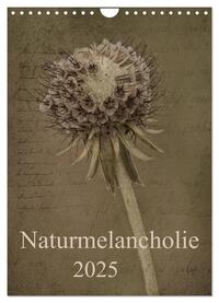 Naturmelancholie 2025 (Wandkalender 2025 DIN A4 hoch), CALVENDO Monatskalender