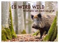 ES WIRD WILD Wildtiere von klein bis groß (Wandkalender 2025 DIN A4 quer), CALVENDO Monatskalender