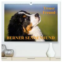 Treuer Freund Berner Sennenhund (hochwertiger Premium Wandkalender 2025 DIN A2 quer), Kunstdruck in Hochglanz