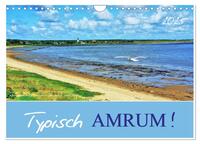 Typisch Amrum! (Wandkalender 2025 DIN A4 quer), CALVENDO Monatskalender