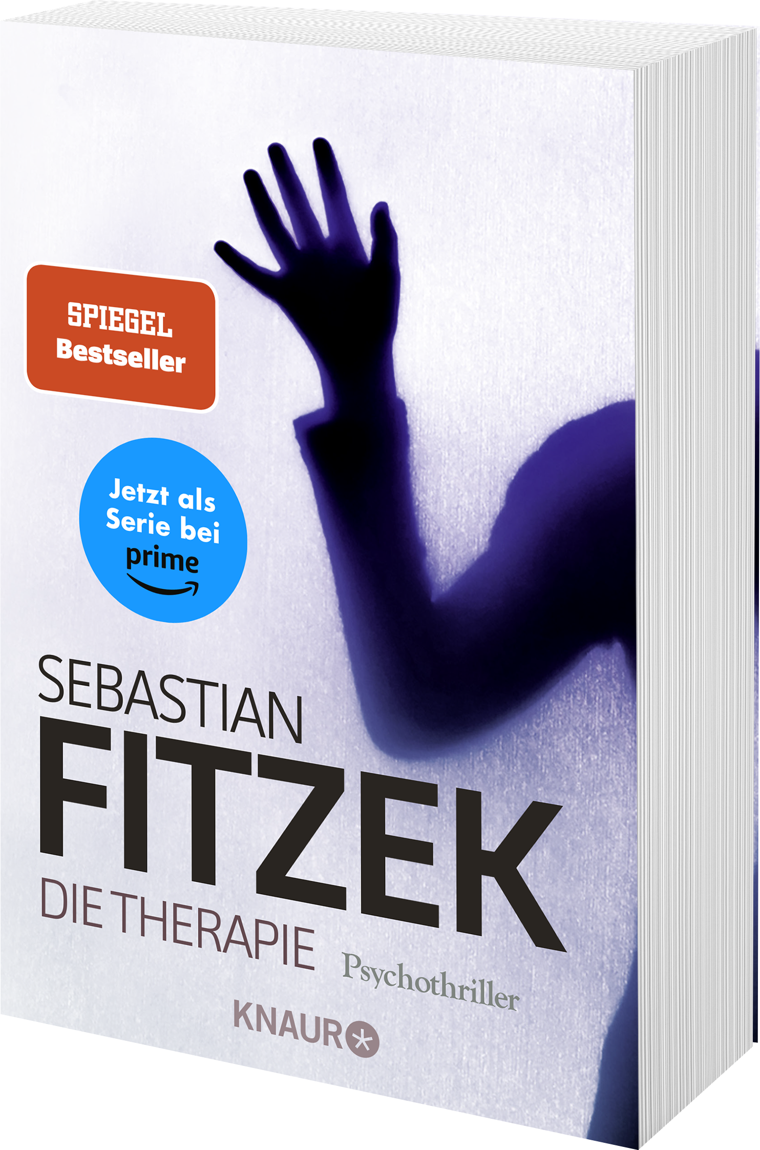 Die Therapie