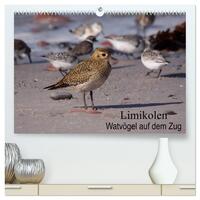 Limikolen Watvögel auf dem Zug (hochwertiger Premium Wandkalender 2025 DIN A2 quer), Kunstdruck in Hochglanz