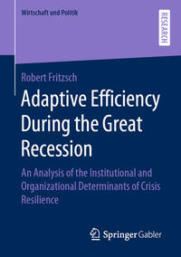 Adaptive Efficiency During the Great Recession